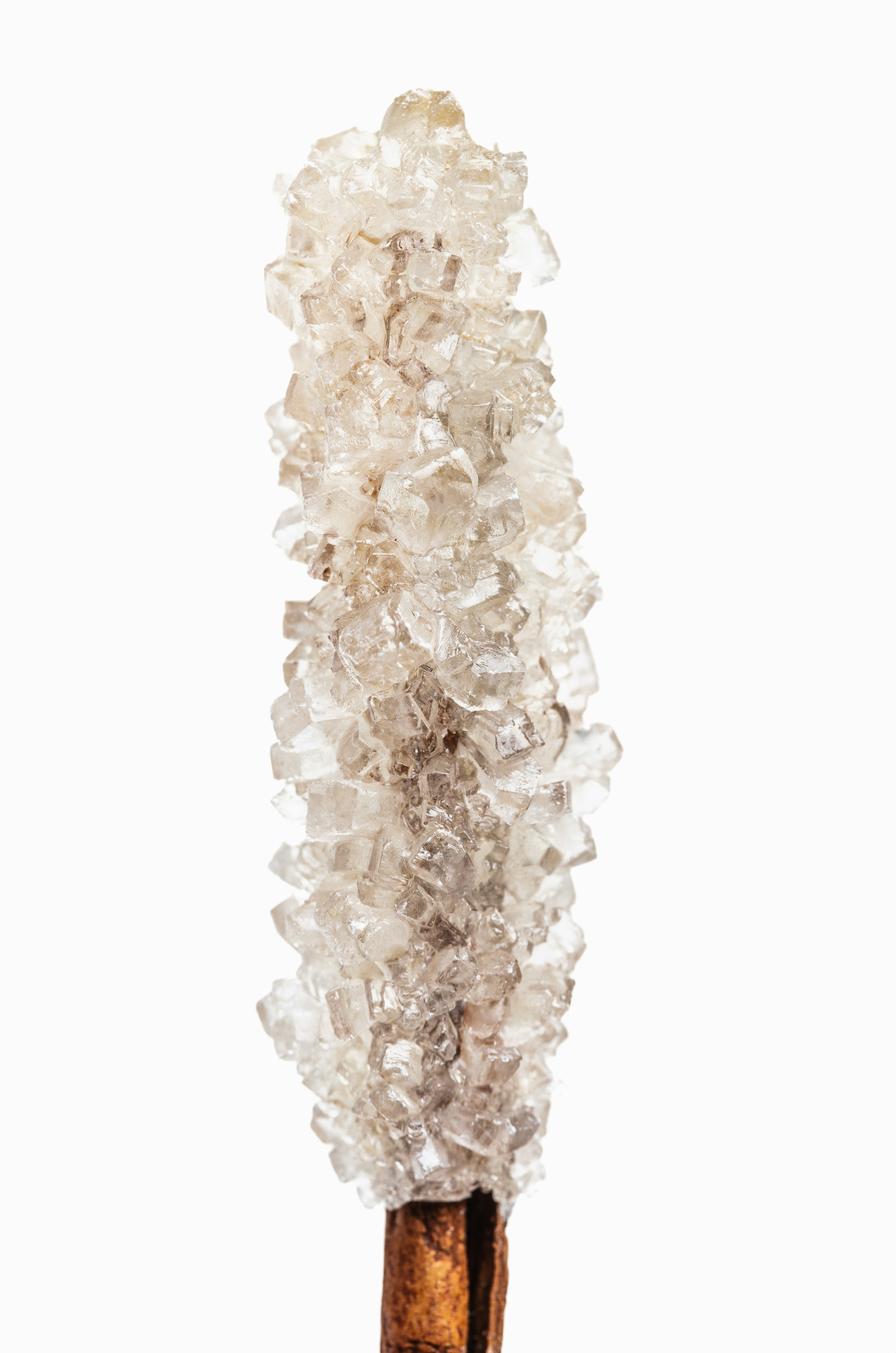 Signature Vanilla Sugar 50ml Perfume Oil Rollerball