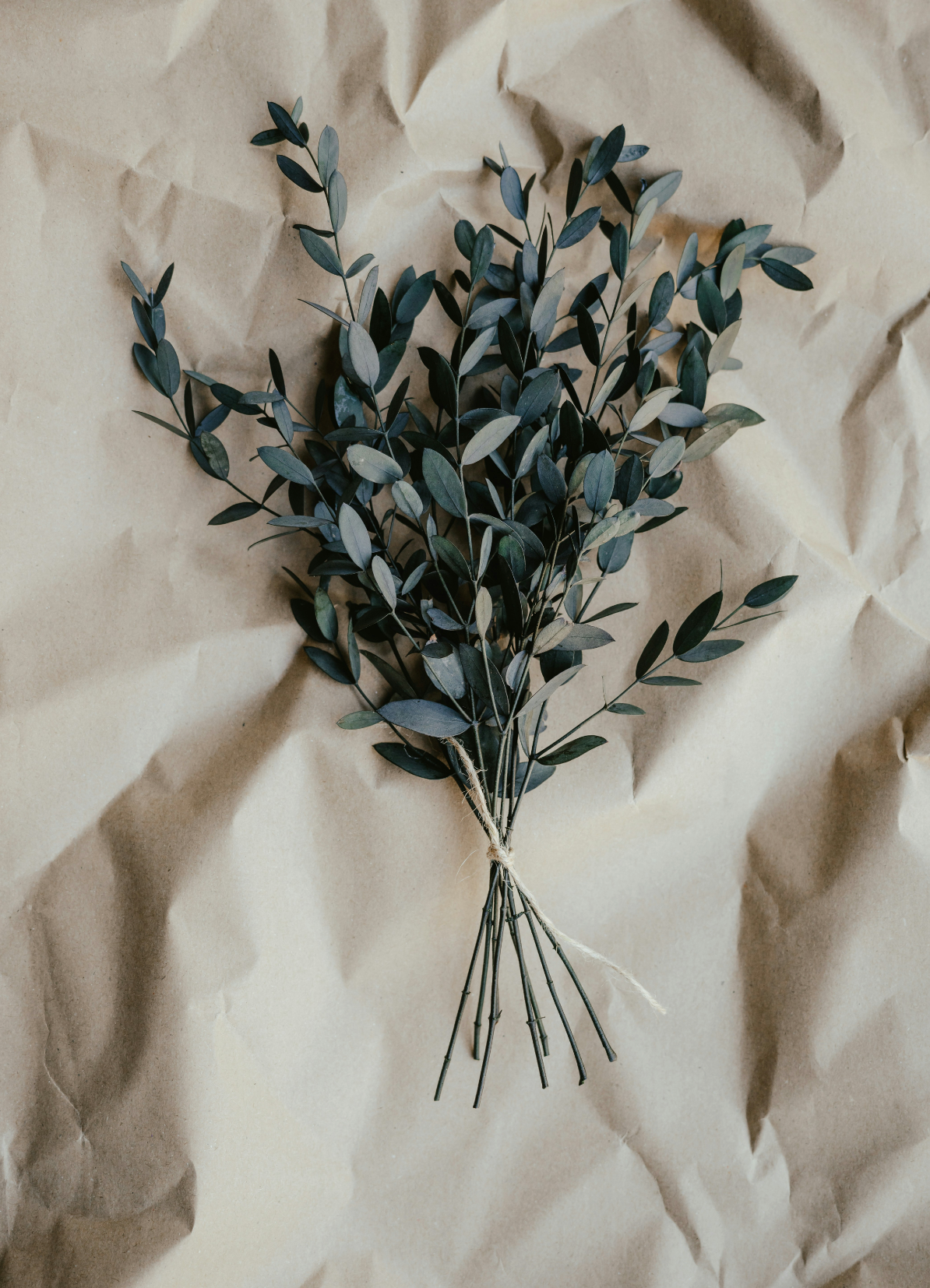 Refreshing Eucalyptus 100 ml Room Spray