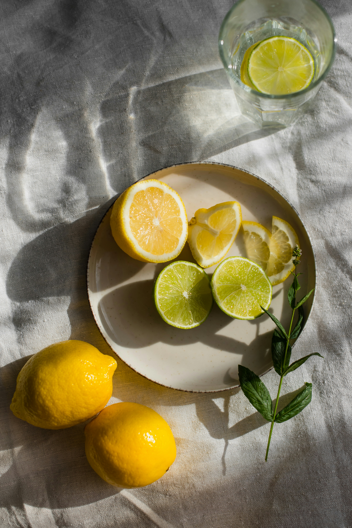 Cozy Limoncello 10 oz scented candle