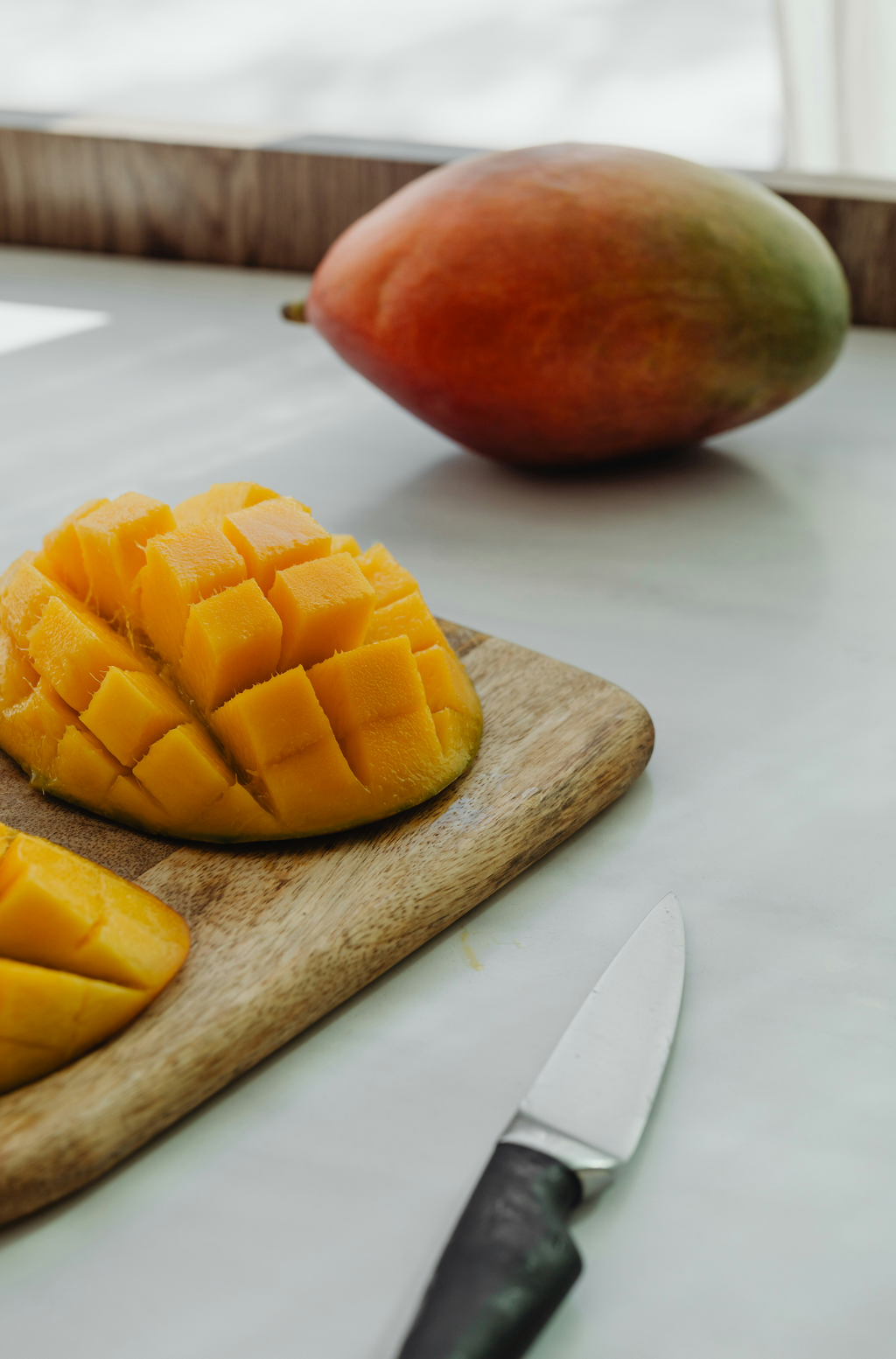 Cozy Sand + Paws Mango Tangerine 12 oz scented candle