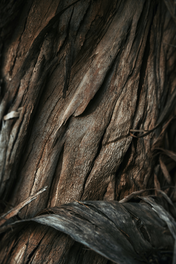 Elegant Vanilla Sandalwood 32 oz 2-In-1