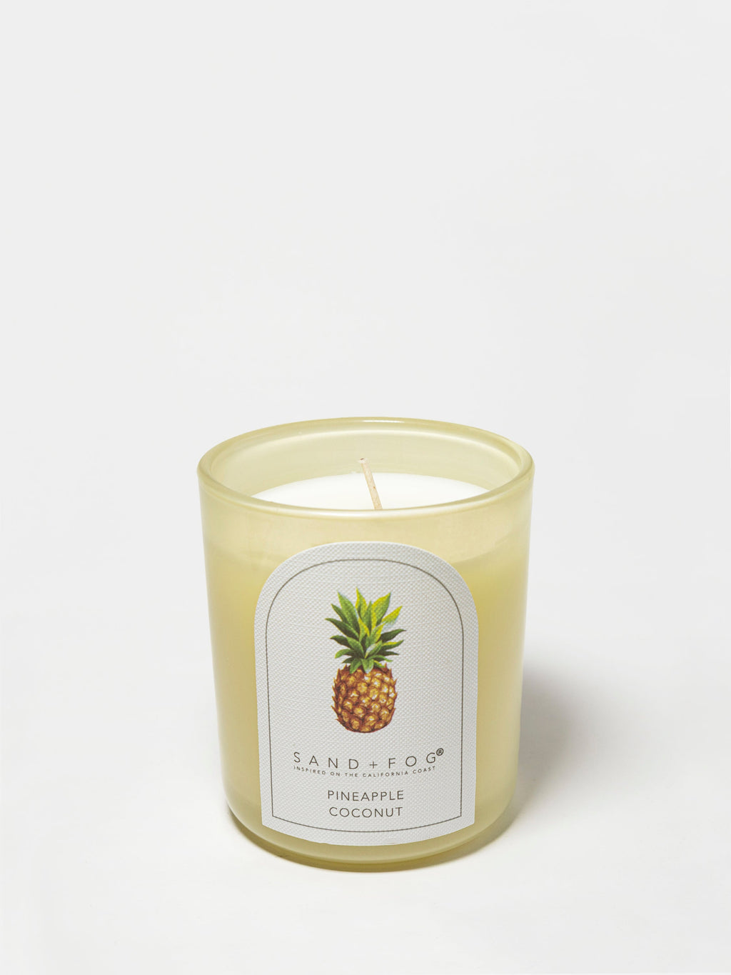 Cozy Pineapple Coconut 10 oz scented candle