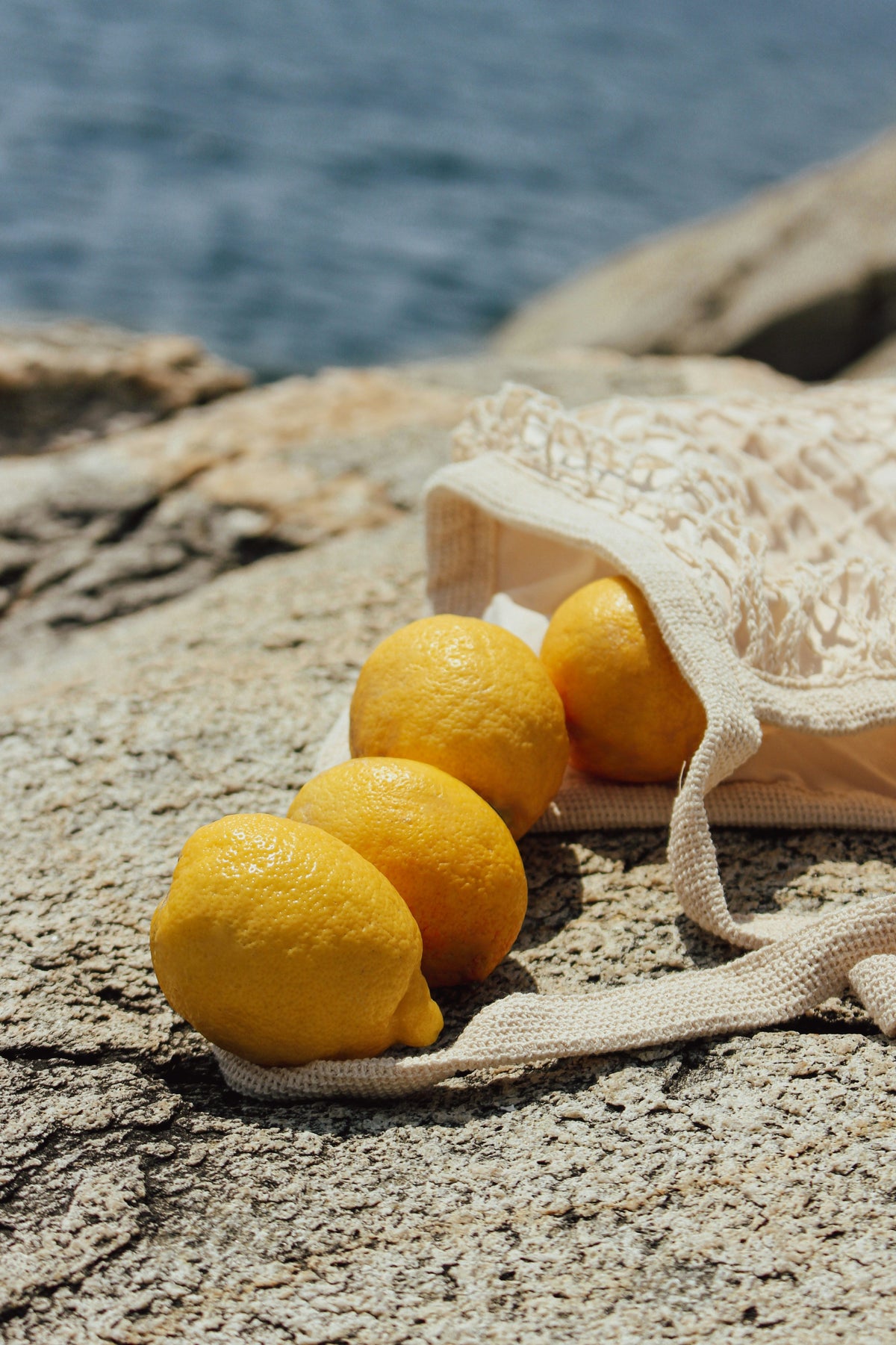 Cozy Italian Citrus 12 oz scented candle