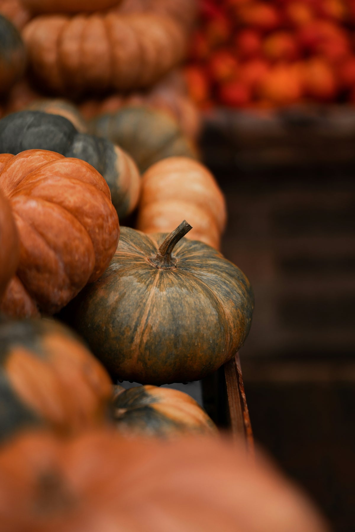 Cozy Cinnamon Pumpkin 12 oz scented candle