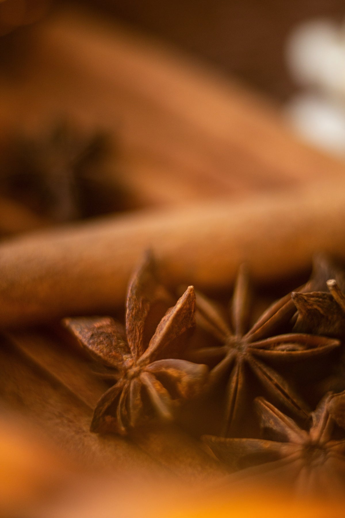 Signature Cinnamon Reserve 50 ml Perfume Oil Dropper